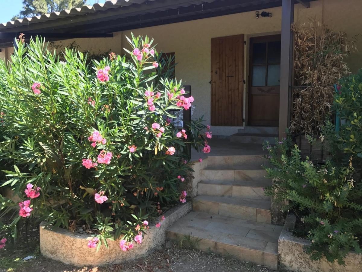 Gite Au Paradis, Parc Animalier Olmeta-di-Tuda Exterior foto